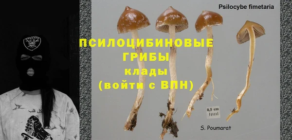 спиды Саяногорск