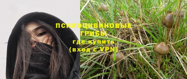 крисы Пересвет