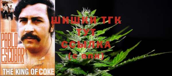 скорость Пестово