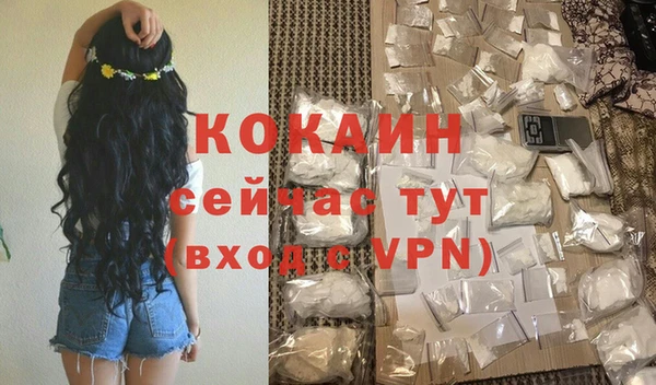 крисы Пересвет
