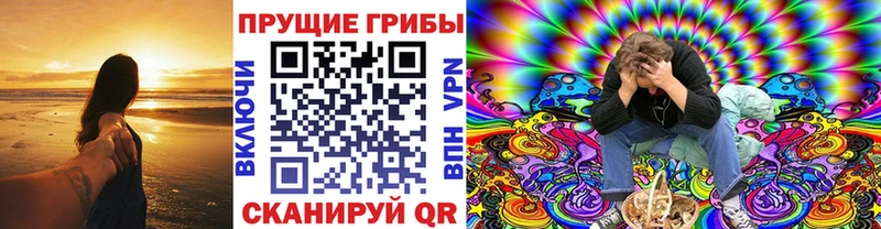 купить наркотик  Струнино  Псилоцибиновые грибы Cubensis 